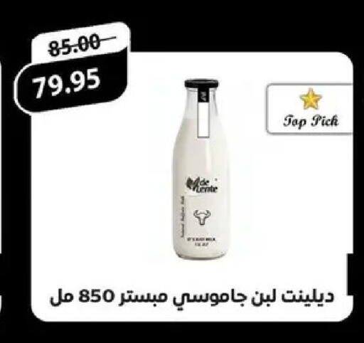 available at Safeer market in Egypt - Cairo
