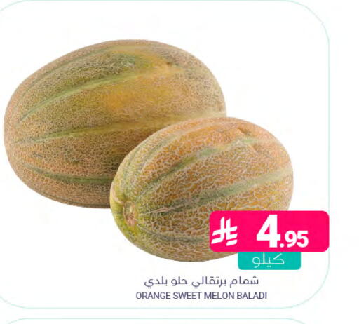 Orange Melon available at Muntazah Markets in KSA, Saudi Arabia, Saudi - Saihat