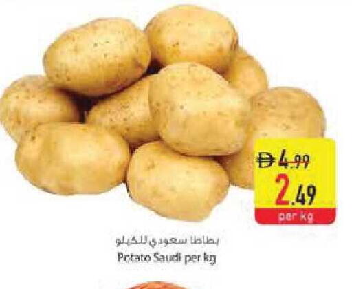 Potato from Saudi Arabia available at السفير ماركت in الإمارات العربية المتحدة , الامارات - أبو ظبي