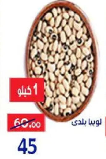 available at Aldoneia Bkheir ismailia  in Egypt - Cairo