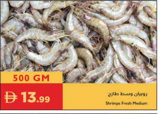 available at إسطنبول سوبرماركت in الإمارات العربية المتحدة , الامارات - أبو ظبي