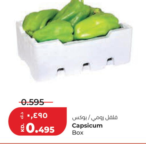 Capsicum available at Lulu Hypermarket  in Kuwait - Ahmadi Governorate