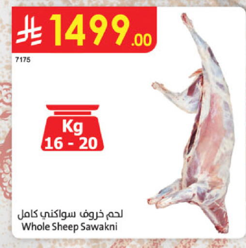 available at الدانوب in مملكة العربية السعودية, السعودية, سعودية - عنيزة
