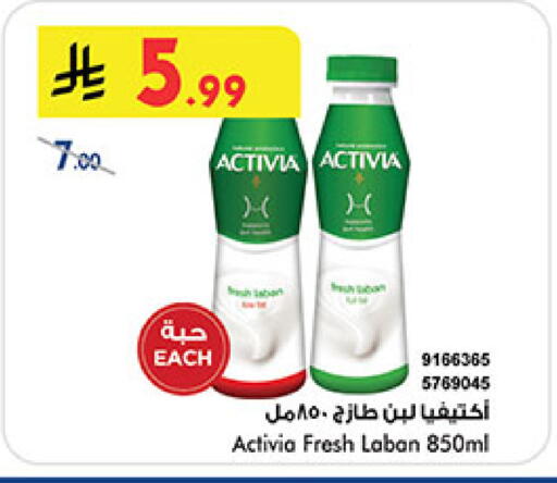 available at بن داود in مملكة العربية السعودية, السعودية, سعودية - المدينة المنورة