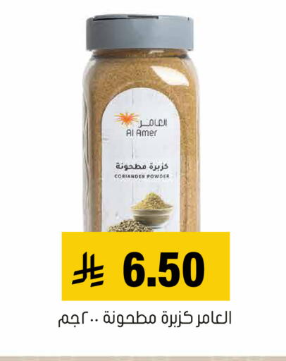 Coriander available at Al Amer Market in KSA, Saudi Arabia, Saudi - Al Hasa