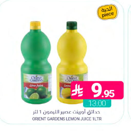 Lemon available at Muntazah Markets in KSA, Saudi Arabia, Saudi - Saihat
