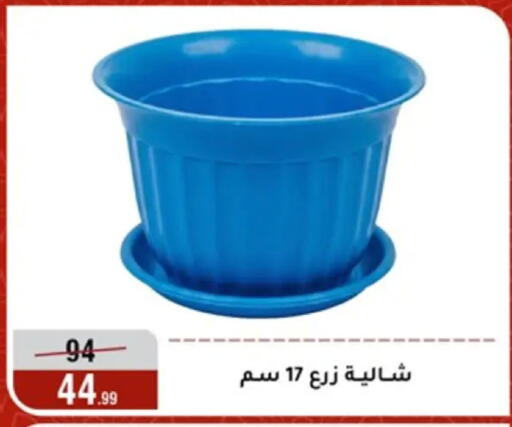 available at Al Morshedy  in Egypt - Cairo
