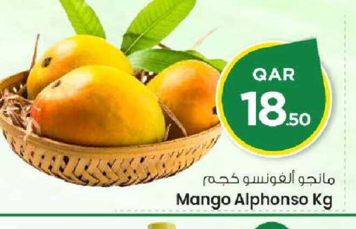 Mango available at Mark & Save  in Qatar - Doha
