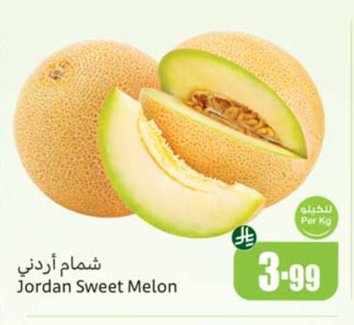 Melon from Jordan available at أسواق عبد الله العثيم in مملكة العربية السعودية, السعودية, سعودية - ينبع