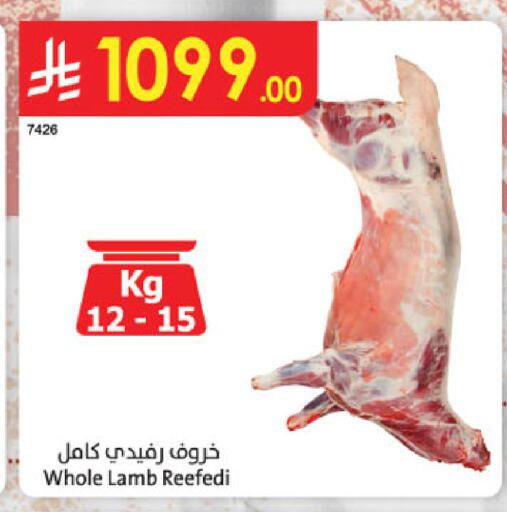 available at الدانوب in مملكة العربية السعودية, السعودية, سعودية - عنيزة