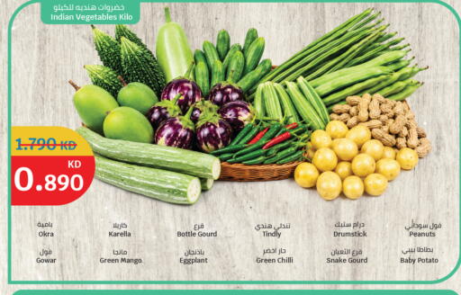 Mango Okra Eggplant Green chilli Potato from India available at City Hypermarket in Kuwait - Ahmadi Governorate