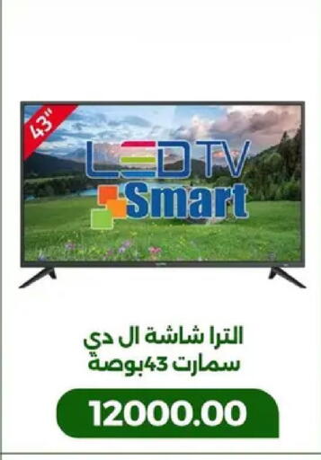 available at Green Tree Hypermarket - Sohag in Egypt - Cairo
