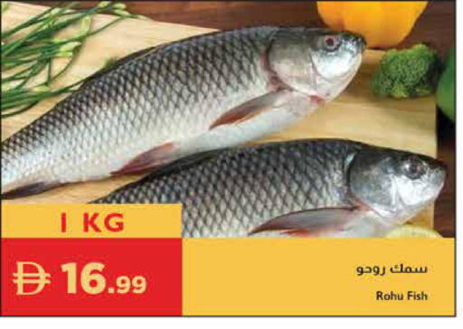 available at إسطنبول سوبرماركت in الإمارات العربية المتحدة , الامارات - رَأْس ٱلْخَيْمَة