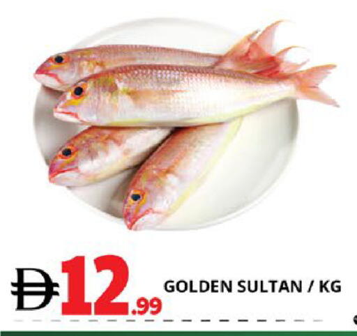 available at اكسبرس المدينة هايبرماركت in الإمارات العربية المتحدة , الامارات - أبو ظبي
