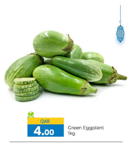 Eggplant available at جي-ماكس هايبرماركت in قطر - الريان