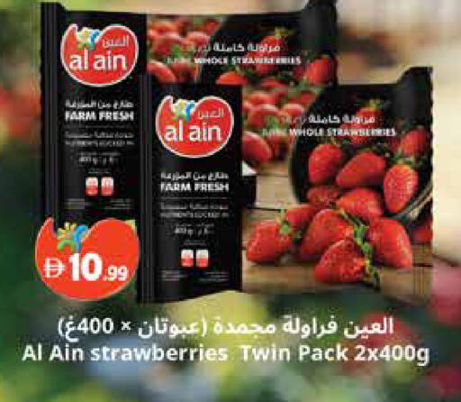 available at إسطنبول سوبرماركت in الإمارات العربية المتحدة , الامارات - رَأْس ٱلْخَيْمَة