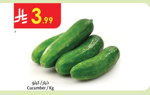 Cucumber available at الدانوب in مملكة العربية السعودية, السعودية, سعودية - الجبيل‎