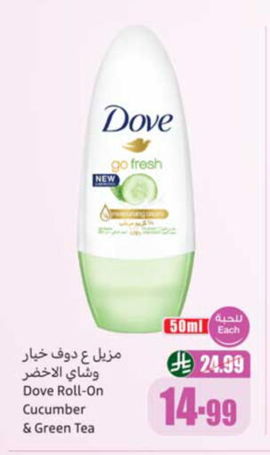 Cucumber available at أسواق عبد الله العثيم in مملكة العربية السعودية, السعودية, سعودية - نجران