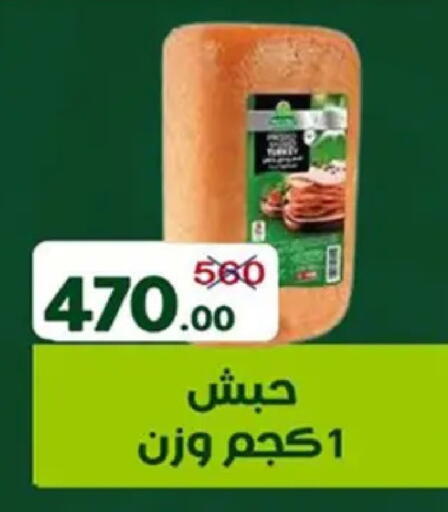 available at Wekalet Elmansoura - Dakahlia  in Egypt - Cairo