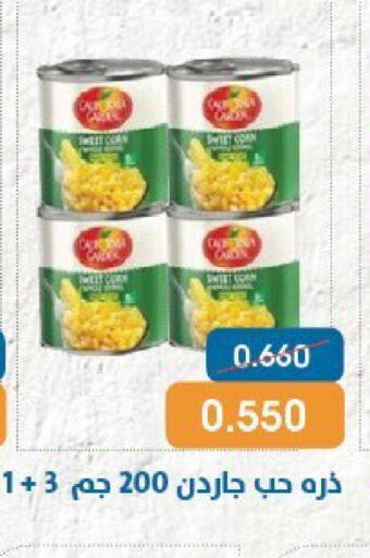 available at Qortuba Co-op Society in Kuwait - Kuwait City