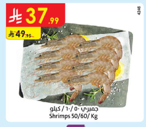 available at الدانوب in مملكة العربية السعودية, السعودية, سعودية - المدينة المنورة
