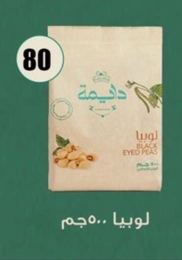 available at فتح الله in Egypt - القاهرة