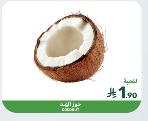 Coconut available at  مـزايــا in مملكة العربية السعودية, السعودية, سعودية - سيهات