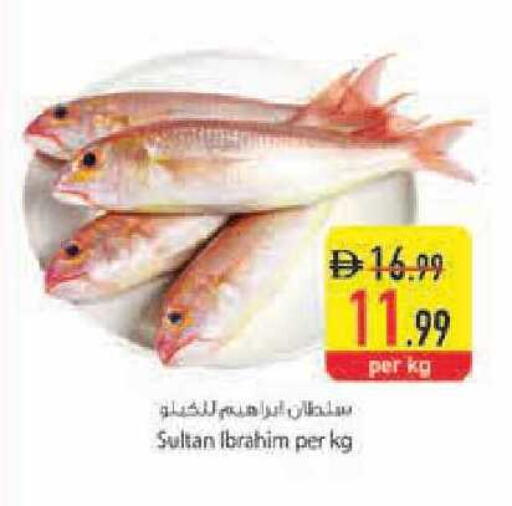 available at السفير ماركت in الإمارات العربية المتحدة , الامارات - أبو ظبي