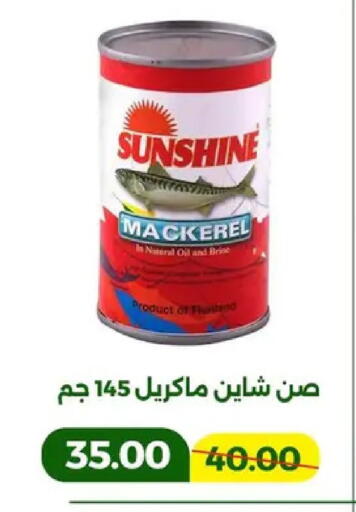 available at جرين تري هايبرماركت - سوهاج in Egypt - القاهرة