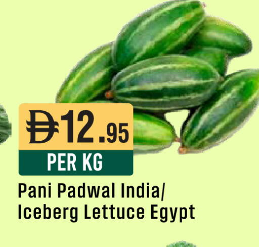 Lettuce from India Egypt available at ويست زون سوبرماركت in الإمارات العربية المتحدة , الامارات - أبو ظبي