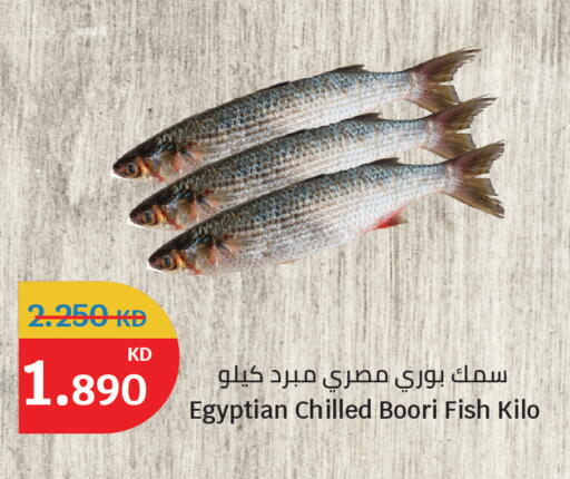 available at سيتي هايبرماركت in الكويت - مدينة الكويت