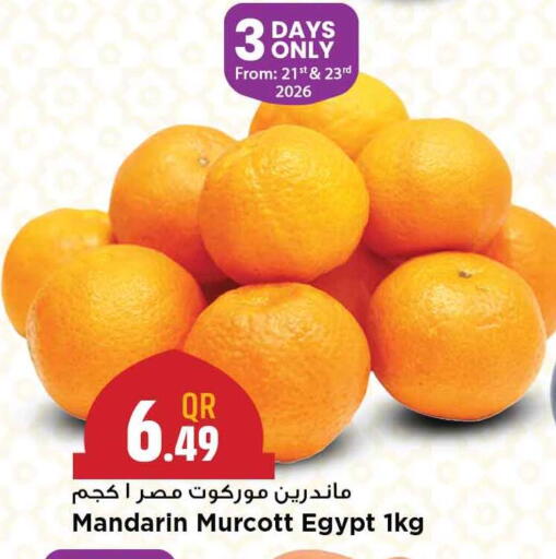 Mandarin from Egypt available at مرزا هايبرماركت in قطر - الخور
