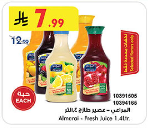 available at بن داود in مملكة العربية السعودية, السعودية, سعودية - المدينة المنورة