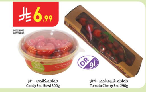 Cherry Tomato available at الدانوب in مملكة العربية السعودية, السعودية, سعودية - المنطقة الشرقية