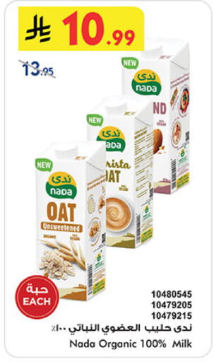available at بن داود in مملكة العربية السعودية, السعودية, سعودية - المدينة المنورة