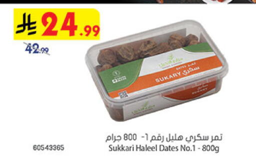 available at بن داود in مملكة العربية السعودية, السعودية, سعودية - المدينة المنورة