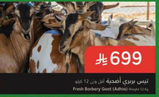available at هايبر بنده in مملكة العربية السعودية, السعودية, سعودية - الرس