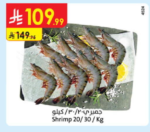 available at الدانوب in مملكة العربية السعودية, السعودية, سعودية - المدينة المنورة