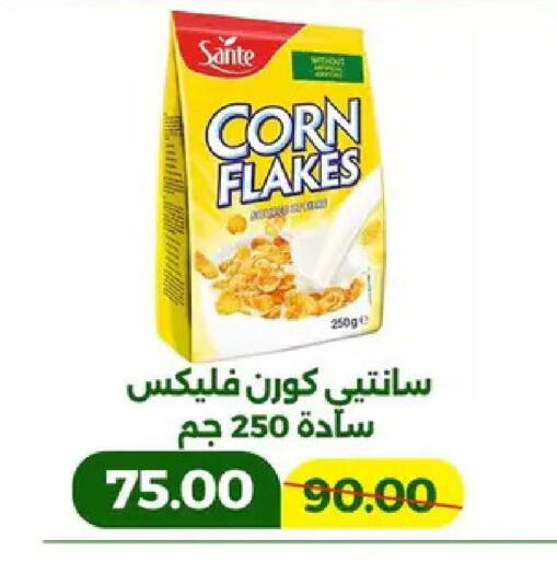 available at جرين تري هايبرماركت - سوهاج in Egypt - القاهرة
