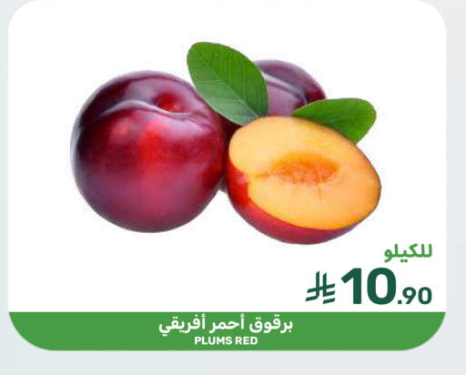 Plums available at  مـزايــا in مملكة العربية السعودية, السعودية, سعودية - سيهات