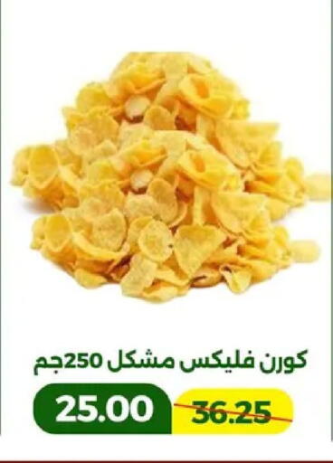 available at جرين تري هايبرماركت - سوهاج in Egypt - القاهرة