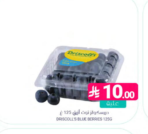 available at Muntazah Markets in KSA, Saudi Arabia, Saudi - Saihat