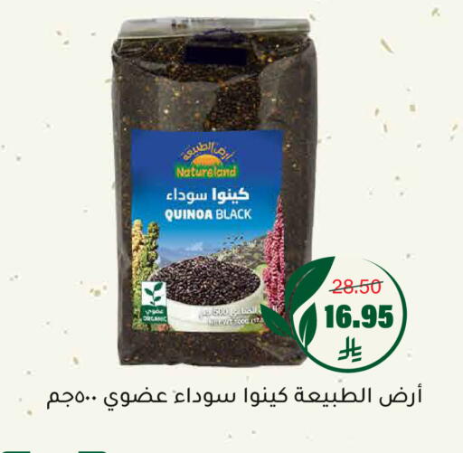 available at Al Amer Market in KSA, Saudi Arabia, Saudi - Al Hasa
