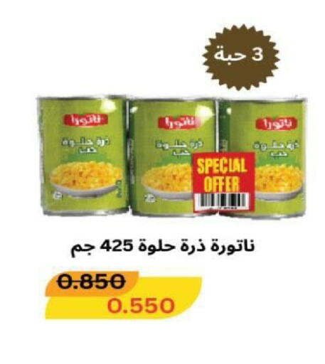 available at جمعية شمال غرب الصليبيخات in الكويت - مدينة الكويت