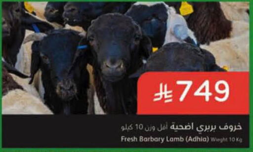 available at هايبر بنده in مملكة العربية السعودية, السعودية, سعودية - الرس