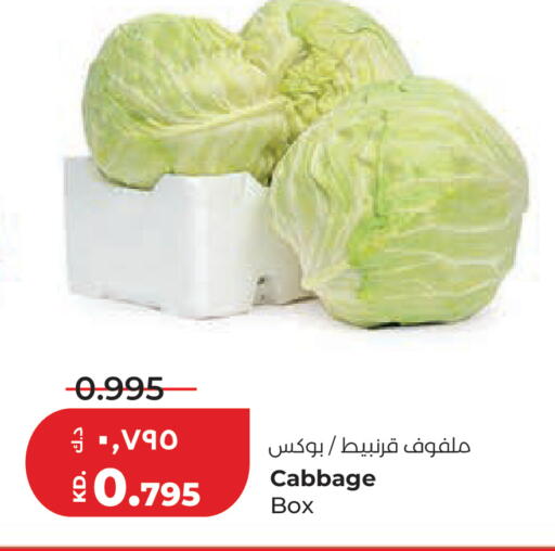 Cabbage available at Lulu Hypermarket  in Kuwait - Ahmadi Governorate