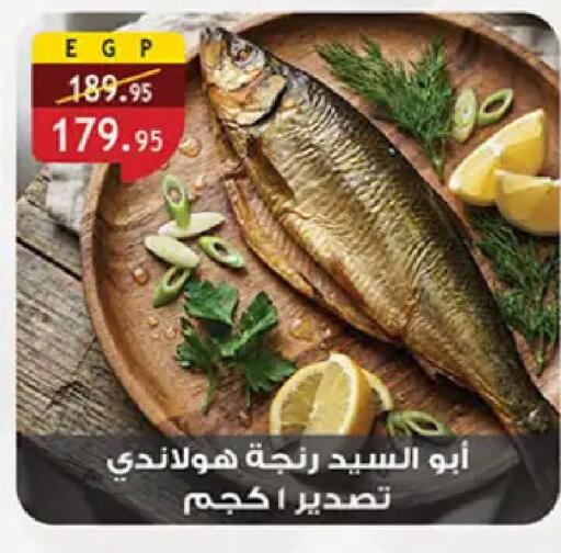 available at الرايه  ماركت in Egypt - القاهرة