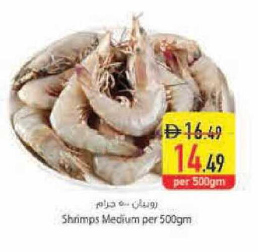 available at Safeer Market in UAE - Fujairah