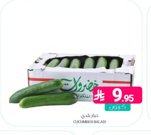 Cucumber available at اسواق المنتزه in مملكة العربية السعودية, السعودية, سعودية - سيهات