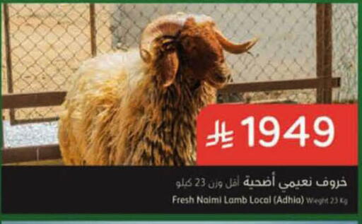available at هايبر بنده in مملكة العربية السعودية, السعودية, سعودية - الرس